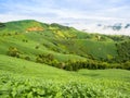 A landscape view of nature of green mountain at sunrise morning Royalty Free Stock Photo