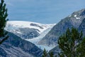 Landscape view of the Nigardsbreen melting glacier and the forest in  Norway Royalty Free Stock Photo