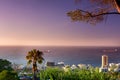 Landscape view of ocean with cargo ships, tropical trees and urban cityscape in famous travel or tourism destination Royalty Free Stock Photo