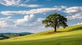 Landscape view of one big tree on the top of the hill with green grass on a hillside with blue sky and clouds in the background. Royalty Free Stock Photo