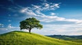 Landscape view of one big tree on the top of the hill with green grass on a hillside with blue sky and clouds in the background. Royalty Free Stock Photo