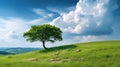 Landscape view of one big tree on the top of the hill with green grass on a hillside with blue sky and clouds in the background. Royalty Free Stock Photo