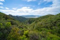 Landscape view over forest and native bush from side of Mount Hobson Royalty Free Stock Photo