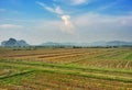Landscape view of paddy fields,mountain and dramatic blue sky