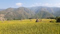 Landscape view of Paddy fields of Nepal Royalty Free Stock Photo
