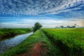 Landscape view of paddy fields,river with dramatic blue sky Royalty Free Stock Photo