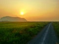 Landscape view of paddy fields,road and mountain during sunset