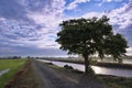 Landscape view of paddy fields,road,tree,river,blue sky and dramatic clouds