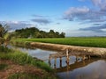 Landscape view of paddy fields,village,river,bridge and dramatic blue sky