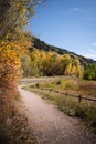 Landscape view of pathway with mountains and fall foliage near Aspen, Colorado.