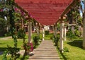 Landscape view of pathway in between nature Royalty Free Stock Photo