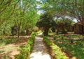 Landscape view of pathway in between nature Royalty Free Stock Photo