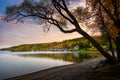 Landscape view of the Pelican Lake in Manitoba with autumn trees in the background Royalty Free Stock Photo