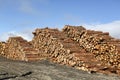 A landscape view of a pile of pine logs in Perthshire, Scotland, UK.