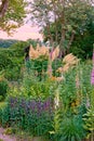 A landscape view of pink foxglove, yellow foxtail lily, orange tecoma, purple Delphinium, vines, and fern under a bright