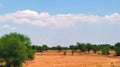 Landscape view of a plain soil field Royalty Free Stock Photo
