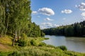 Landscape view with a pond in a forest area