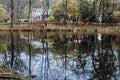 Landscape view with a pond reflecting trees yellow grass around Royalty Free Stock Photo