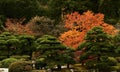 Landscape view of the Portland Japanese Garden. Washington, D.C., USA Royalty Free Stock Photo