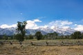 Landscape of the Grand Teton mountain range from the Chapel of the Transfiguration
