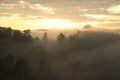 Landscape view of rainforest in mist at morning on mountain, Doi Royalty Free Stock Photo