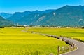 Field scenery in Taitung, Taiwan