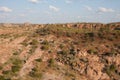 View of the terrain and vegetation at Mapungubwe National Park South Africa