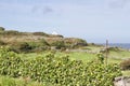 Landscape view of rural Ireland with stone walls, pastures, and incidental houses