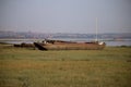 Landscape view of rusting boat wrecks at Riverside park. Royalty Free Stock Photo