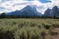 Landscape view of sagebrush meadow overlooked by the Cathedral Group