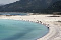 Landscape view of salda lake with some people