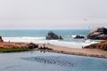 Landscape View of San Francisco`s Ocean Beach, in California Royalty Free Stock Photo