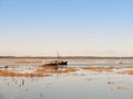 Landscape view scene of estuary river water space with boat