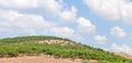 Small evergreen trees on slope of the hill with blue cloudy sky on the background in Turkey