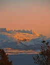 Landscape view of snow covered land against a sunset background with copyspace. Bare frosty lands and trees on a field