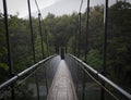 Landscape view of a suspension bridge on Blue Pools Forest Walk in Otago on South Island of New Zealand Royalty Free Stock Photo