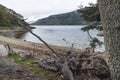 National Park in Tierra del Fuego Royalty Free Stock Photo