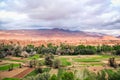 Landscape view of Tinghir city in the oasis, Morocco.