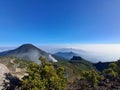 Landscape from the top of Mount pangrango Royalty Free Stock Photo