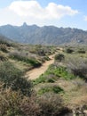 Trail leading to Tom`s Thumb landmark in Arizona Royalty Free Stock Photo