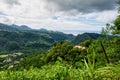 Landscape view on trail to the Trafalgar waterfalls. Morne Trois Pitons National Park, Dominica, Leeward Islands Royalty Free Stock Photo