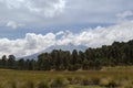 A landscape view with tree-covered rocky mountain slope and a dry grass field under a cloudy sky Royalty Free Stock Photo