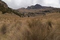 A landscape view with tree-covered rocky mountain slope and a dry grass field under a cloudy sky Royalty Free Stock Photo