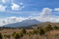 A landscape view with tree-covered rocky mountain slope and a dry grass field under a cloudy sky Royalty Free Stock Photo