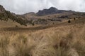 A landscape view with tree-covered rocky mountain slope and a dry grassland under a cloudy sky Royalty Free Stock Photo