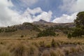 A landscape view with tree-covered rocky mountain slope and a dry grassland under a cloudy sky Royalty Free Stock Photo