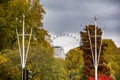 Landscape view of trees in Hyde park with London eye in the background. Royalty Free Stock Photo