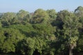 A landscape view of treetops under a blue sky in a Cambodian forest Royalty Free Stock Photo