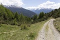 A landscape view during a trekking in Bormio
