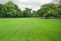 Landscape view of tropical green grass meadow field and trees in public park. Royalty Free Stock Photo